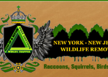 New York animal removal NY-NJ Wildlife Removal