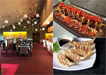 Atlanta Japanese Restaurants Nakato Japanese Restaurant