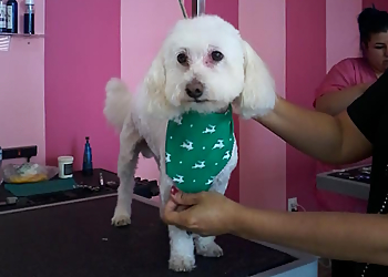 Moreno Valley Pet Grooming Nancy's Pet Salon