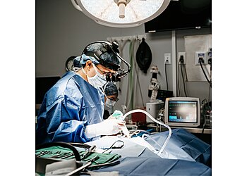 Nashville Veterinary Clinics Nashville Veterinary Specialists + Animal Emergency