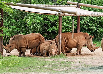 Nashville Places To See Nashville Zoo at Grassmere