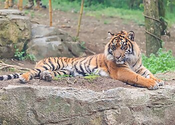 Nashville Places To See Nashville Zoo at Grassmere