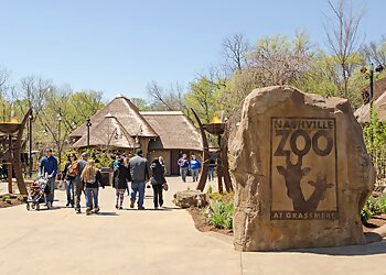 Nashville Zoo at Grassmere Nashville Places To See image 1