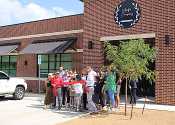 Denton Marriage Counselors Natasha Francis M.S - MINDFUL COUNSELING