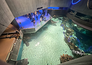Baltimore Places To See National Aquarium