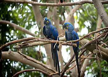 Pittsburgh Landmarks National Aviary