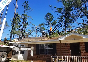 Birmingham Tree Services National Tree Service
