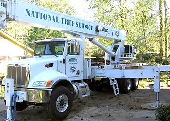 National Tree Service Birmingham Tree Services image 1