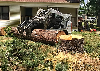 Beaumont Tree Services Nationwide Tree Care