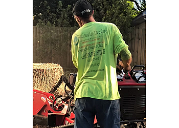 Beaumont Tree Services Nationwide Tree Care