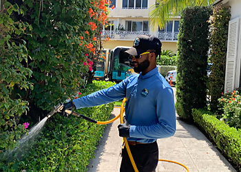 Native Pest Management Native Pest Management - Fort Lauderdale, FL Pest Control Companies - Service Image