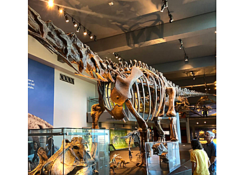 Los Angeles Museums Natural History Museum of Los Angeles County