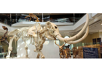 Los Angeles Museums Natural History Museum of Los Angeles County