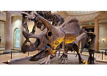 Los Angeles Museums Natural History Museum of Los Angeles County