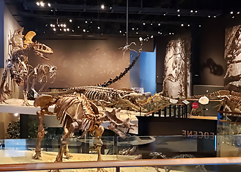 Salt Lake City Places To See Natural History Museum of Utah