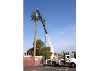 Simi Valley tree service Natural Wonders Trees Inc. 