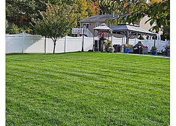 New Haven Lawn Care Services Naturally Green Lawn Care