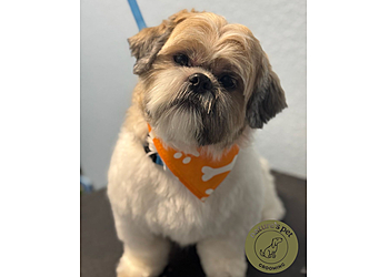 Gainesville Pet Grooming Nature Pets Day Spa