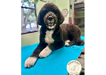 Gainesville Pet Grooming Nature Pets Day Spa