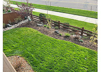 Denver Lawn Care Services Nature's Carpet Lawn & Sprinkler