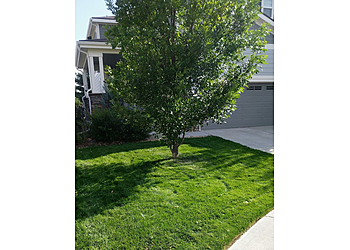 Denver Lawn Care Services Nature's Carpet Lawn & Sprinkler