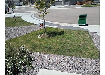 Nature's Carpet Lawn & Sprinkler Denver Lawn Care Services image 1