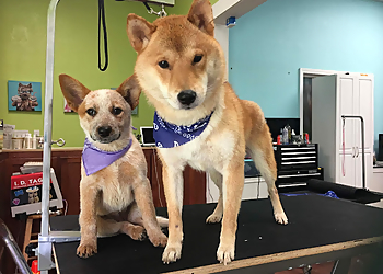 Salem Pet Grooming Nature's Pet Salem