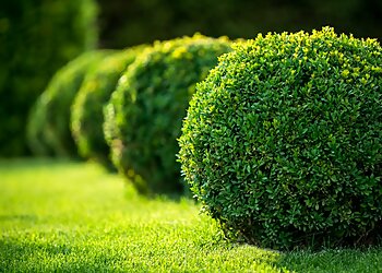 Winston Salem Lawn Care Services Nature's Select®