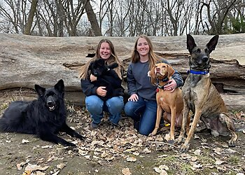 Lincoln Dog Training Nebraska Dog Trainers