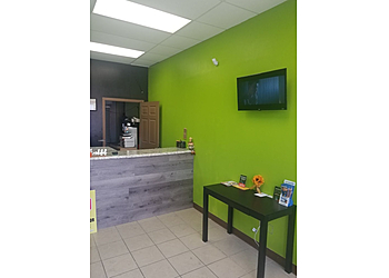 Brownsville Computer Repair Neighborhood Geek