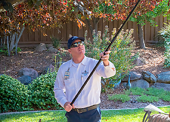 Neighborly Pest Control - Santa Ana, CA Pest Control Companies - Service Image