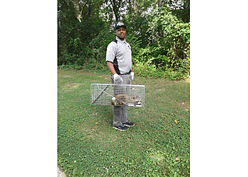 Washington Animal Removal Nest Services