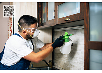 Nest Services Washington Animal Removal image 1