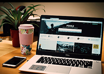 Netco Design LLC - St Petersburg, FL Web Designers