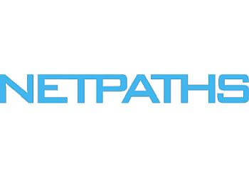 Netpaths Website Design