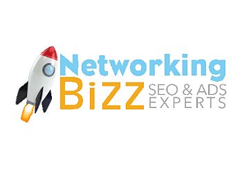 Networking Bizz Website Experts Pasadena Web Designers