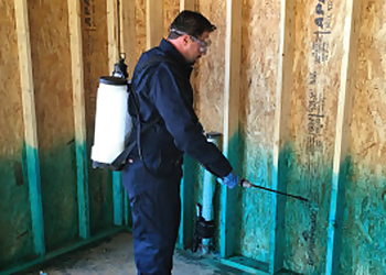 Raleigh Pest Control Companies Neuse Pest and Termite Control