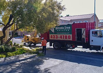 Las Vegas Tree Services Nevada Tree Service