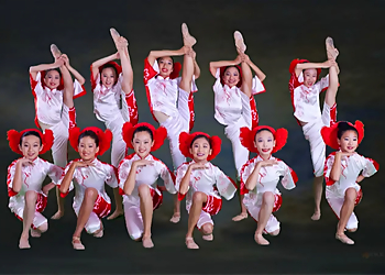 New Century Dance - Sunnyvale, CA Dance Schools - Service Highlights