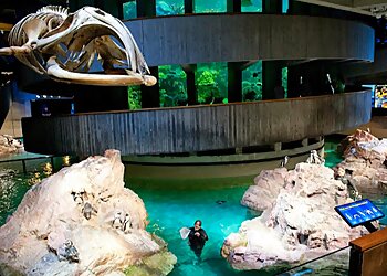 Boston Places To See New England Aquarium