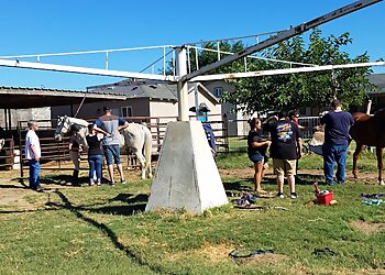 Modesto Addiction Treatment Centers New Hope Recovery