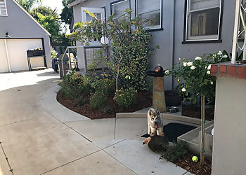 Pasadena Landscaping Companies New Image Landscaping & Tree Service