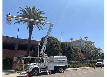 New Image  - Corona, CA Tree Services - Service Vehicle Image