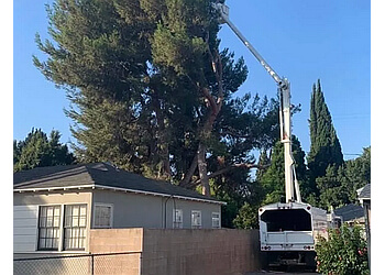 New Image  - Corona, CA Tree Services - Residential Service Image