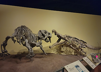 Albuquerque Landmarks New Mexico Museum of Natural History and Science