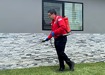 Inglewood Pest Control Companies New Systems Exterminating