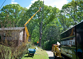 Athens Tree Services New Urban Forestry