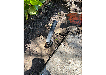 New West Landscape Management, Inc. - Concord, CA Landscaping Companies - Service Image