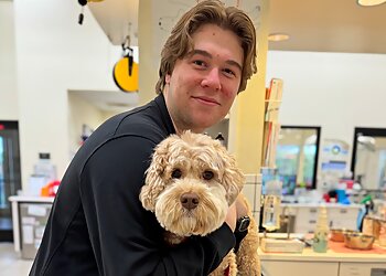 Costa Mesa Veterinary Clinics Newport Harbor Animal Hospital