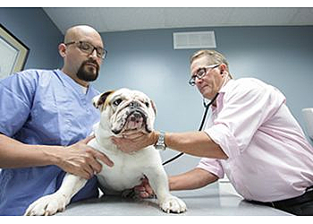 Newport Beach Veterinary Clinics Newport Hills Animal Hospital